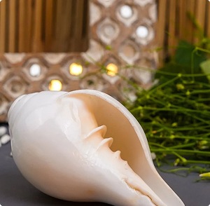 Rudraksha product - bottom right